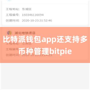 比特派钱包app还支持多币种管理bitpie